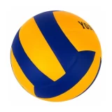 Beach Ball-1